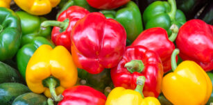 Yellow, green and red bell peppers panorama, summer vegetable web banner